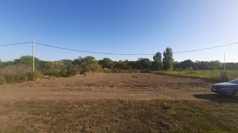 SE VENDEN 2 TERRENOS DE 12x60 C/U EN SAUCE MONTRULL, SOBRE RUTA 18