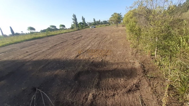 SE VENDEN 2 TERRENOS DE 12x60 C/U EN SAUCE MONTRULL, SOBRE RUTA 18