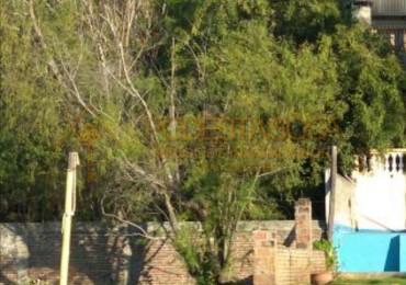 VENDO TERRENO SOBRE LA COSTA (CON SALIDA AL RIO PARANA)