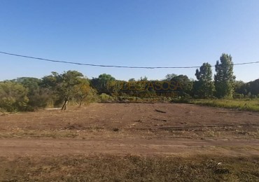 SE VENDEN 2 TERRENOS DE 12x60 C/U EN SAUCE MONTRULL, SOBRE RUTA 18